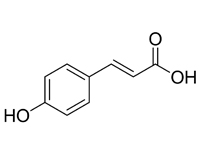 對(duì)羥基肉桂<em>酸</em>，98%（HPLC）