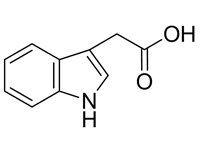 3-吲哚<em>乙酸</em>，CP，97%